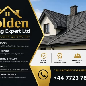 Advertisement of Conservatory Roo Replacement London